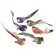 Pasari Pene Color Pentru Aranjamente Florale Set 6 Buc