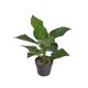 model 1 - Planta artificiala+ghiveci pentru decoratiuni florale