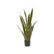 Sansevieria Artificiala La Ghiveci