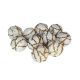 model 1 - Sfere artficiale pentru aranjamente florale set 10 buc