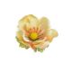 model 7 - Capete anemone artificiale set 12 buc