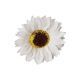 model 1 - Gerbera sapun pentru aranjamente florale set 50 buc