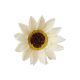 model 4 - Gerbera sapun pentru aranjamente florale set 50 buc