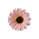 model 6 - Gerbera sapun pentru aranjamente florale set 50 buc