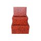 model 5 - Cutii dreptunghiulare pentru flori set 3 buc