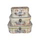 model 1 - Cutii tip geamantan pentru flori set 3 buc