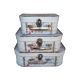 model 5 - Cutii tip geamantan pentru flori set 3 buc