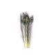 model 1 - Pene paun color pentru aranjamente florale set 5 buc