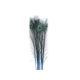 model 3 - Pene paun color pentru aranjamente florale set 5 buc