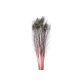 model 4 - Pene paun color pentru aranjamente florale set 5 buc