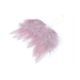 Aripi Inger Pentru Aranjamente Florale Set 6 Buc