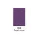 regal purple 026 - Spray color pentru flori