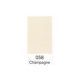 champagne 058 - Spray color pentru flori
