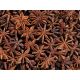 model 1 - Stelute anason pentru aranjamente florale